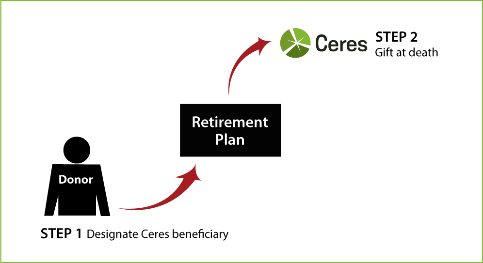 Gifts from Retirement Plans at Death Thumbnail