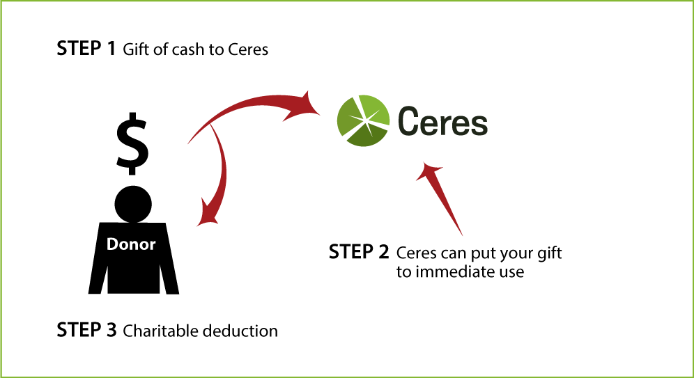 Cash, Checks, and Credit Cards Diagram. Description of image is listed below.